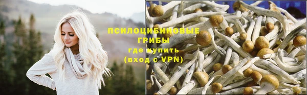 таблы Алексин