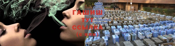 прущие грибы Алзамай