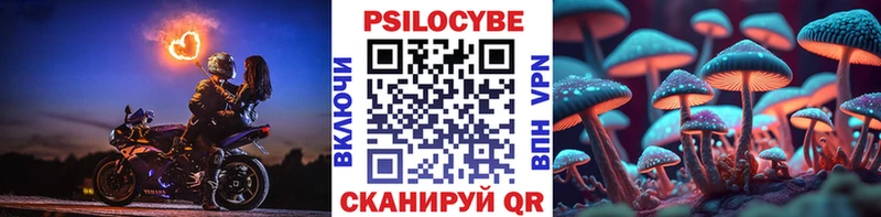 где купить наркоту  нарко площадка формула  Галлюциногенные грибы Magic Shrooms  Опочка 